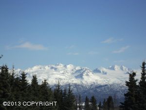 L25A Mountain View Circle, Homer, AK 99603