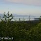 54684 Newell Court, Homer, AK 99603 ID:9457536
