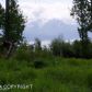 L1A Maria Road, Homer, AK 99603 ID:9457019
