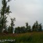 L1A Maria Road, Homer, AK 99603 ID:9457024