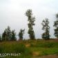 L1A Maria Road, Homer, AK 99603 ID:9457025