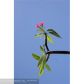 1501 NE 42ND CT, Pompano Beach, FL 33064 ID:9359864