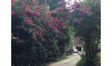 1455 Southland Vista Court Ne Atlanta, GA 30329