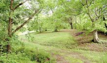 Highway 310 Etowah, TN 37331