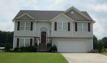 8238 Mountain Glen Clermont, GA 30527