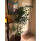 4015 W MCNAB ROAD # 210D, Pompano Beach, FL 33069 ID:9528879
