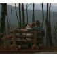 2 Chief Whitetails Road, Ellijay, GA 30540 ID:9014132
