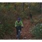 2 Chief Whitetails Road, Ellijay, GA 30540 ID:9014134
