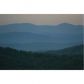 2 Chief Whitetails Road, Ellijay, GA 30540 ID:9014138