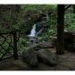 2 Chief Whitetails Road, Ellijay, GA 30540 ID:9014141