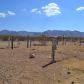 3718 N Arivaca Road, Golden Valley, AZ 86413 ID:9761763