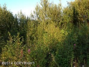 1031 S Enterprise Street, Wasilla, AK 99654