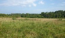 0 Franklin Road Plainville, GA 30733