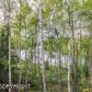 17847 W Bryant Road, Big Lake, AK 99652 ID:9776610