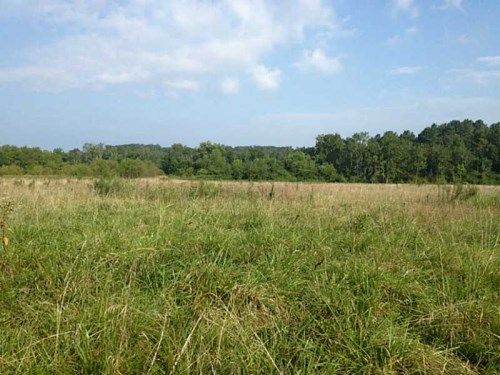 0 Franklin Road, Plainville, GA 30733