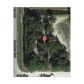 6744 Mandarin Blvd, Loxahatchee, FL 33470 ID:9844250