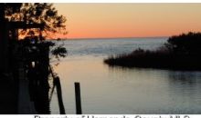 2437 SUNSET VISTA DR Aripeka, FL 34679