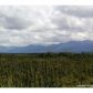 Discovery View Drive #31, Bayside, NY 11359 ID:9768822