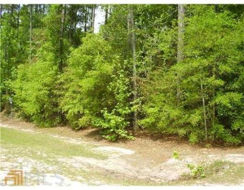 402 Morgan Cemetery Rd, Clyo, GA 31303