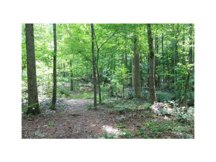 0 Bonnie Brae Road, Cumming, GA 30041