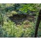 184 Fightingtown Drive, Blue Ridge, GA 30513 ID:9884856