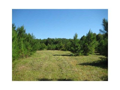 411 Kirk Road, White, GA 30184