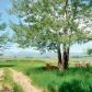 9087 N. 63rd Street, Longmont, CO 80501 ID:9904130