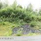 Lot 43 Crow Creek Road, Girdwood, AK 99587 ID:9909760