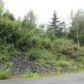 Lot 43 Crow Creek Road, Girdwood, AK 99587 ID:9909761