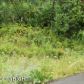 Lot 43 Crow Creek Road, Girdwood, AK 99587 ID:9909763