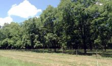 40AC COUNTY ROAD 49 Branford, FL 32008