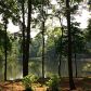 341 Herron Cove Sw, Atlanta, GA 30349 ID:9845960