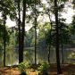 341 Herron Cove Sw, Atlanta, GA 30349 ID:9847006