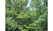 0 Gable Dr Douglasville, GA 30134