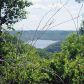 9.04 AC SILVER VIEW LANE, Silver Point, TN 38582 ID:9707235