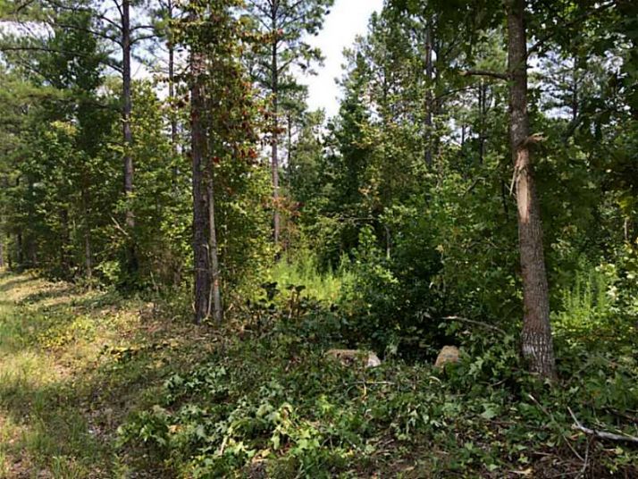 2 John Kay Road, Taylorsville, GA 30178