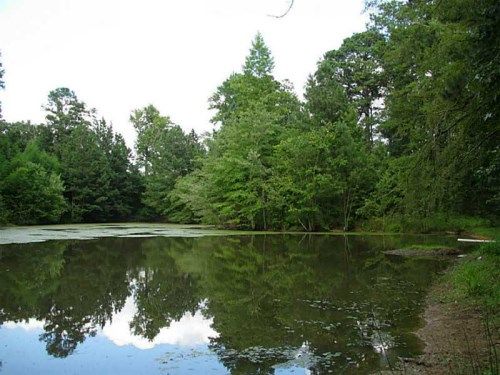 4002 Rocky Creek Trail, Loganville, GA 30052