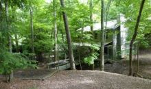 11 Buckskull Court Jasper, GA 30143
