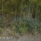4964 S Emerald Way, Big Lake, AK 99652 ID:10054029