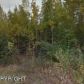 4964 S Emerald Way, Big Lake, AK 99652 ID:10054030