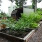 5034 Daylily Drive, Braselton, GA 30517 ID:9092201