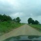 County Road 408, Lafe, AR 72436 ID:9931103