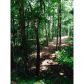 8 Hickory Nut Trail, Dawsonville, GA 30534 ID:9878455