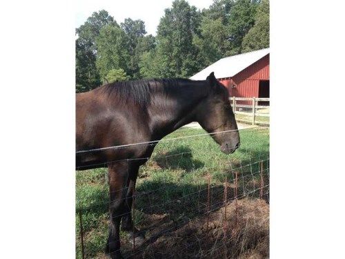 2652 River Bend Road, Plainville, GA 30733