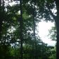3330 Bluestern Drive, Jasper, GA 30143 ID:10070661