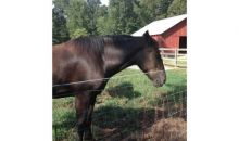 2652 River Bend Road Plainville, GA 30733