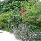 1631 NE 39 ST, Pompano Beach, FL 33064 ID:9851166
