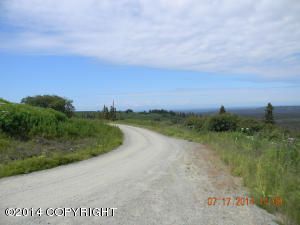 Tr. 18A Joe Super Street, Homer, AK 99603