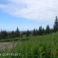 Tr. 8A West Highlands Boulevard, Homer, AK 99603 ID:10137733