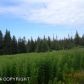 Tr. 8A West Highlands Boulevard, Homer, AK 99603 ID:10137735